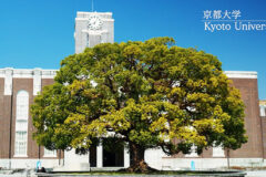 京都大学 入試情報と科目別 傾向と対策 2025年(2024年度)