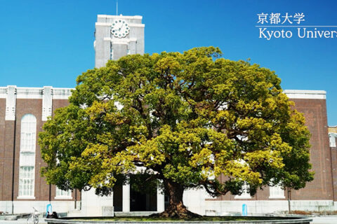 京都大学 学部別入試情報と科目別傾向と対策 2025年(2024年度)