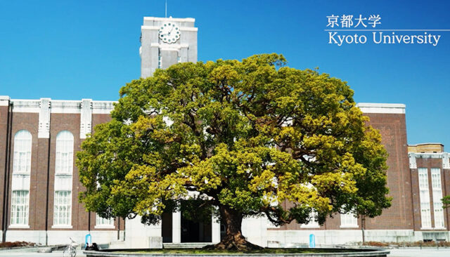 京都大学　学部別入試情報と科目別傾向と対策　2025年（2024年度）